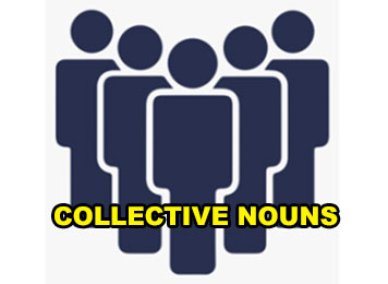 General English - Collective Nouns 6