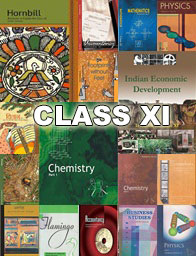 CLASS XI