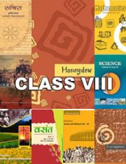 CLASS VIII