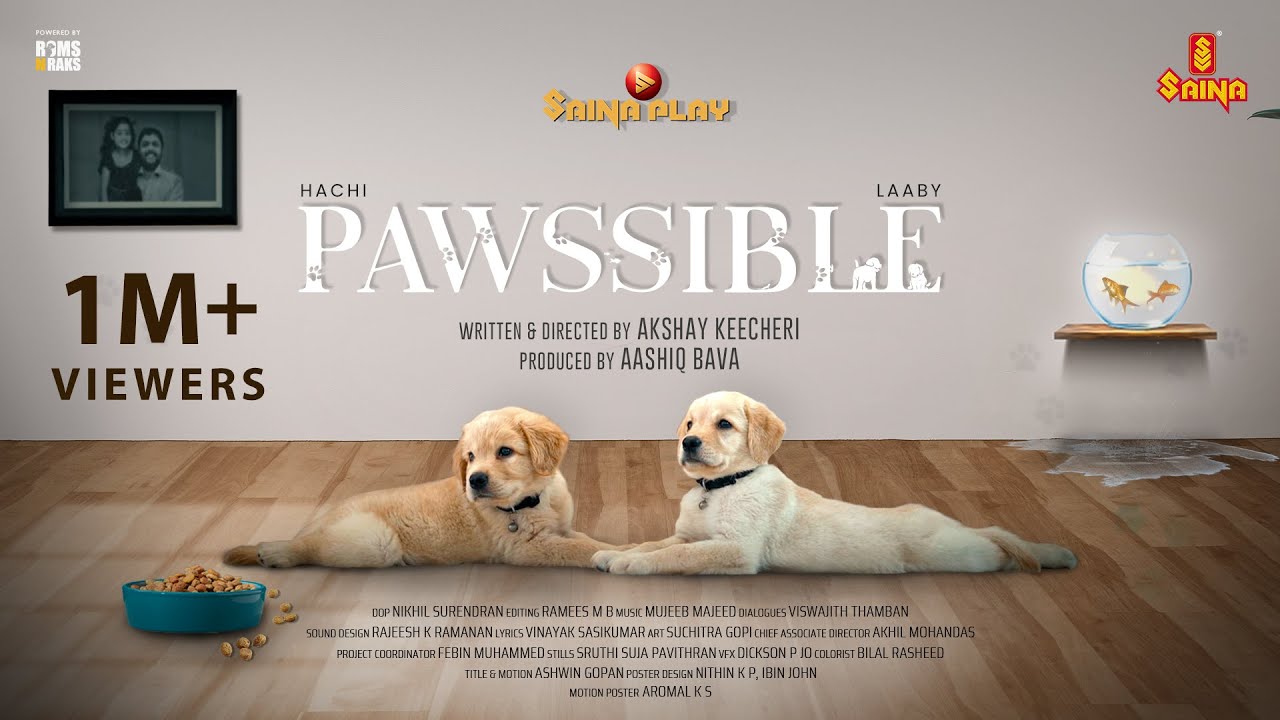 PAWSSIBLE