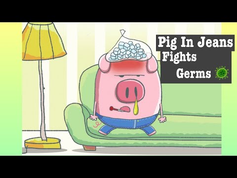 Read Aloud Pig In Jeans Fights Germs by Brenda Li CozyTimeTales